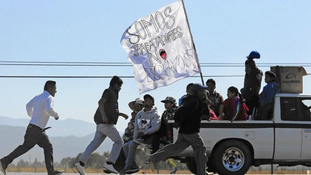 Los trabajadores agrícolas mexicanos, sosteniendo un letrero que dice “Somos trabajadores, no esclavos”, marcharon a San Quintín en marzo para protestar contra los bajos salarios y el maltrato.