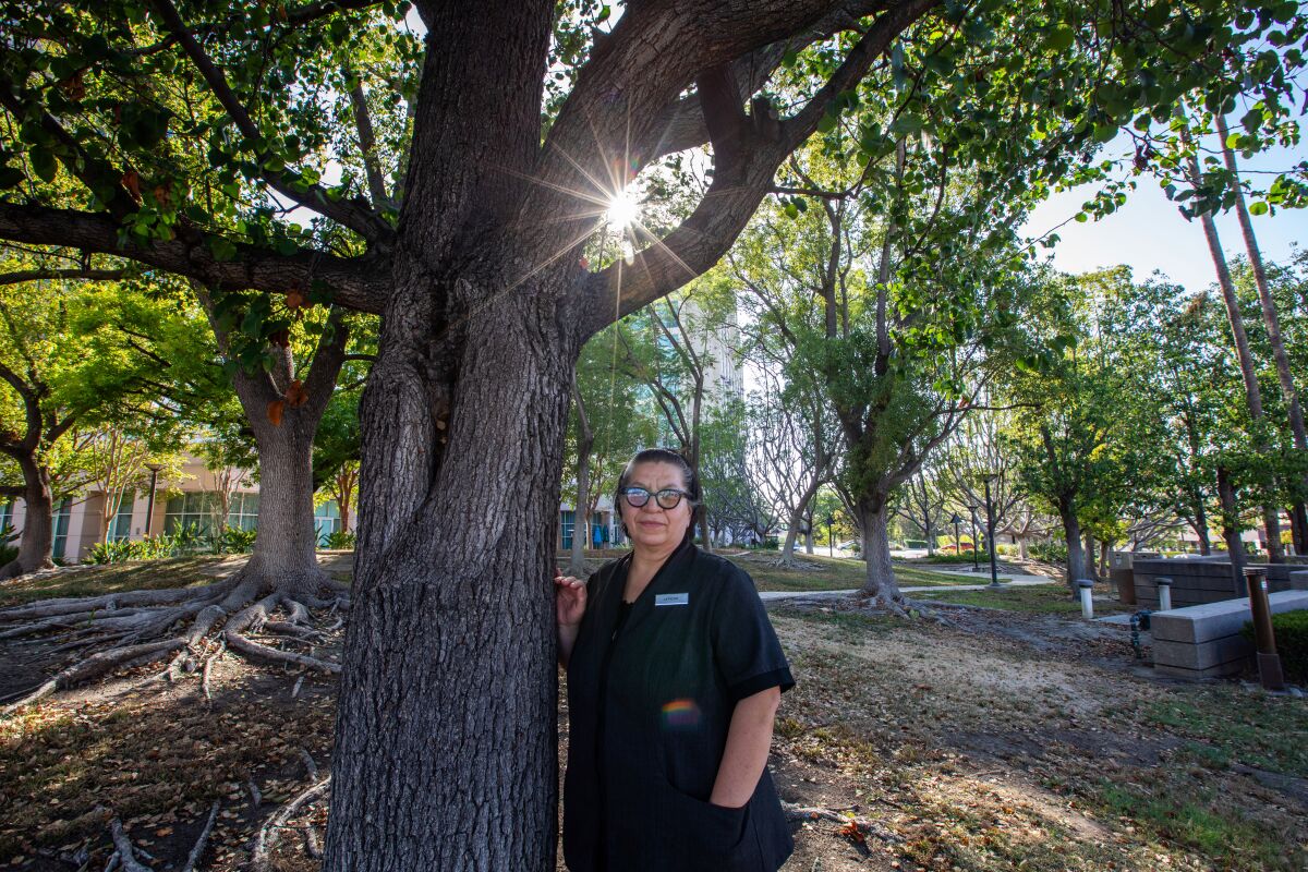 A woman stands under a tree