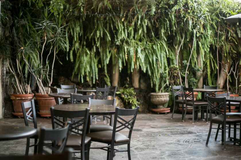 Tables and chairs in the plant-laden courtyard at Coffee Connection.