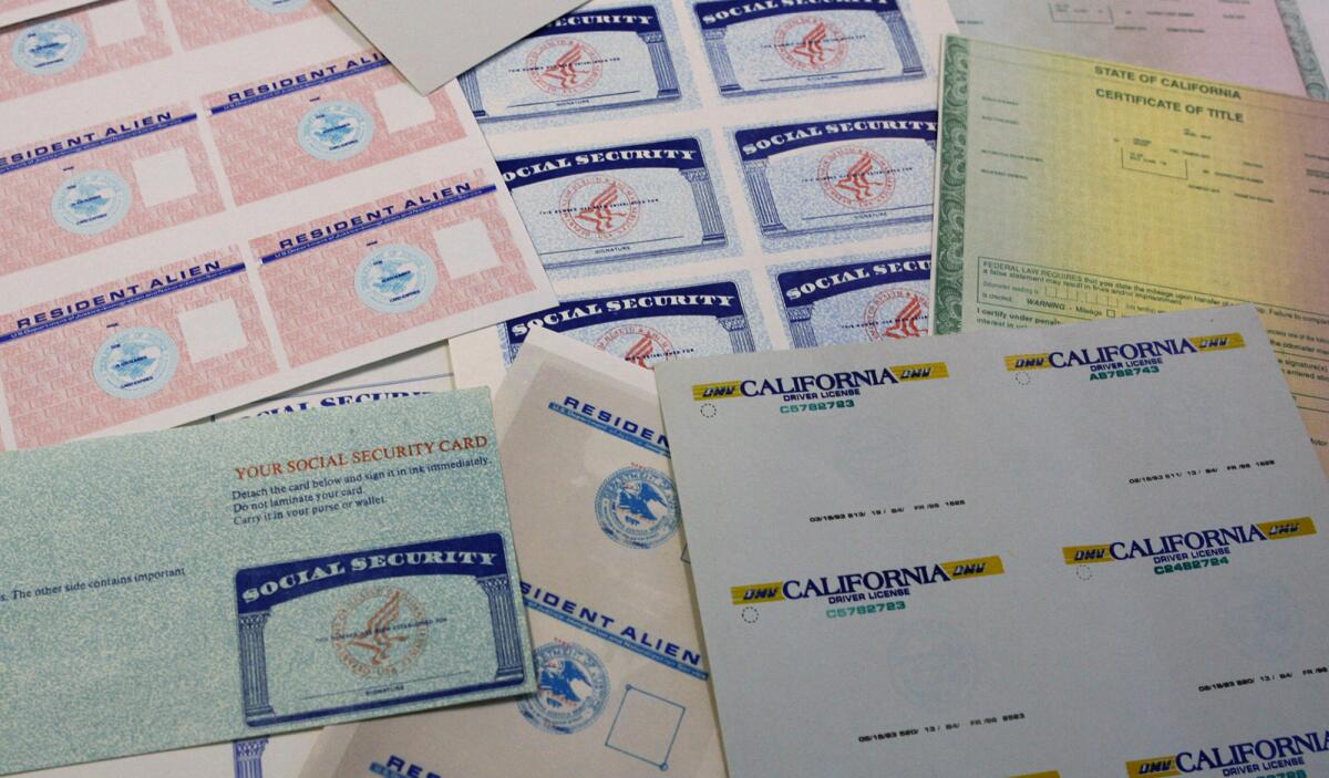 Confiscated fake and blank identification documents laid out covering the entire frame.