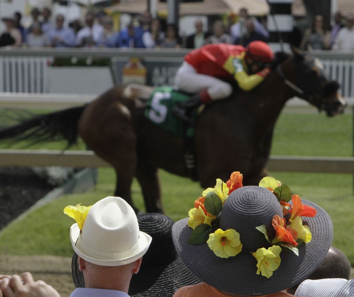 Trevor McCarthy guides Fish Whistler to victory in the Deputed Testimony Handicap horse at Pimlico Race Course in 2015.