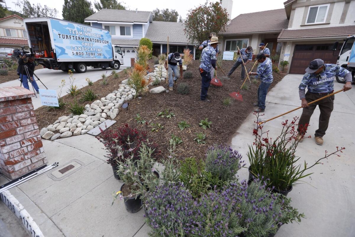 A Turf Terminators crew installs drought-tolerant landscaping in April at the home of Los Angeles City Councilman Mitchell Englander.