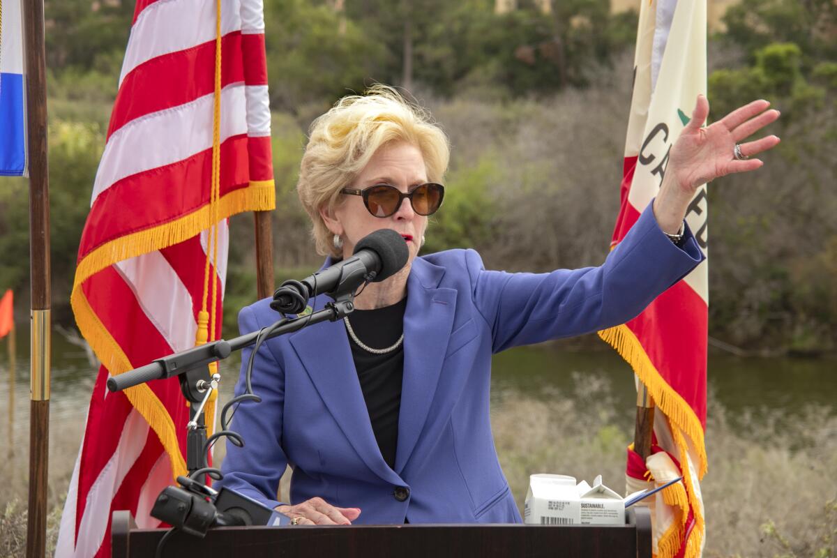 State Assemblywoman Diane Brooks Dixon speaks.