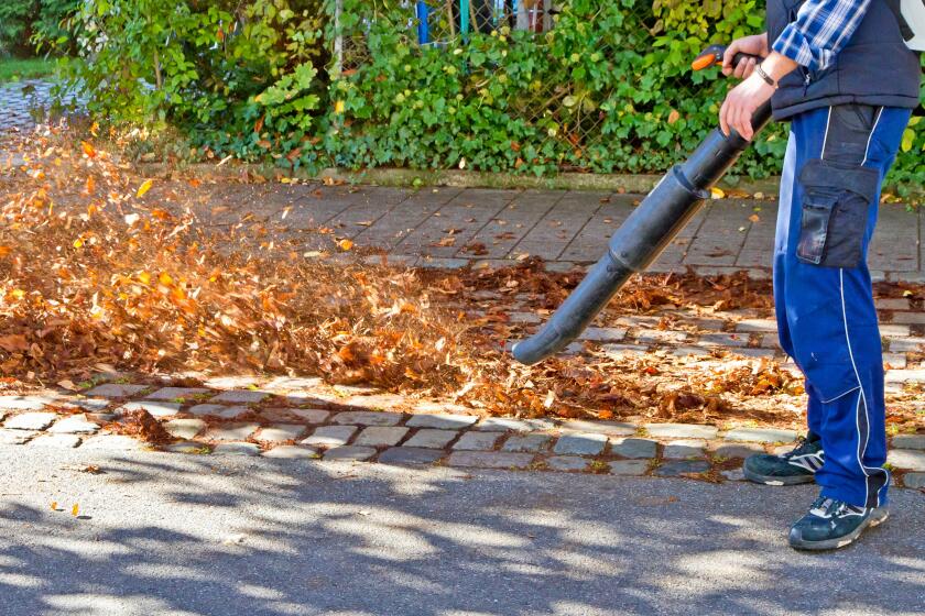 Upwards of 170 American cities in 31 states (as well as five cities in three Canadian provinces) have some kind of leaf blower restrictions already in place. (Dreamstime/TNS) ** OUTS - ELSENT, FPG, TCN - OUTS **