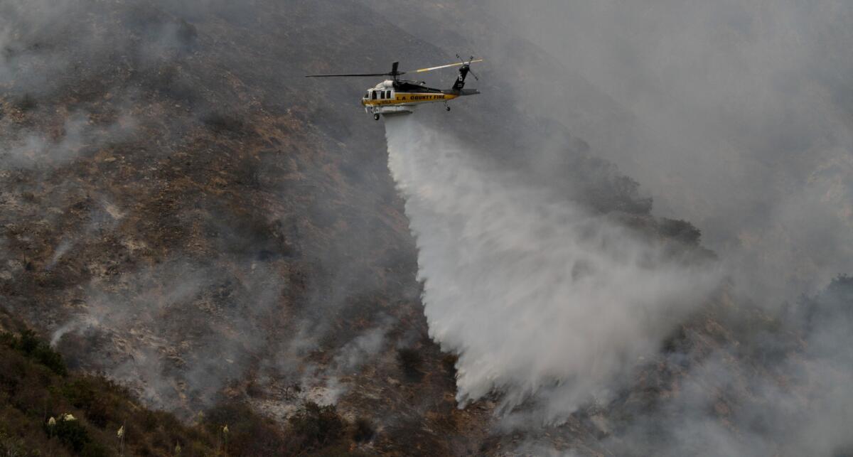Firefighters battled a brush fire that blackened about 50 acres above Brand Park in Glendale.