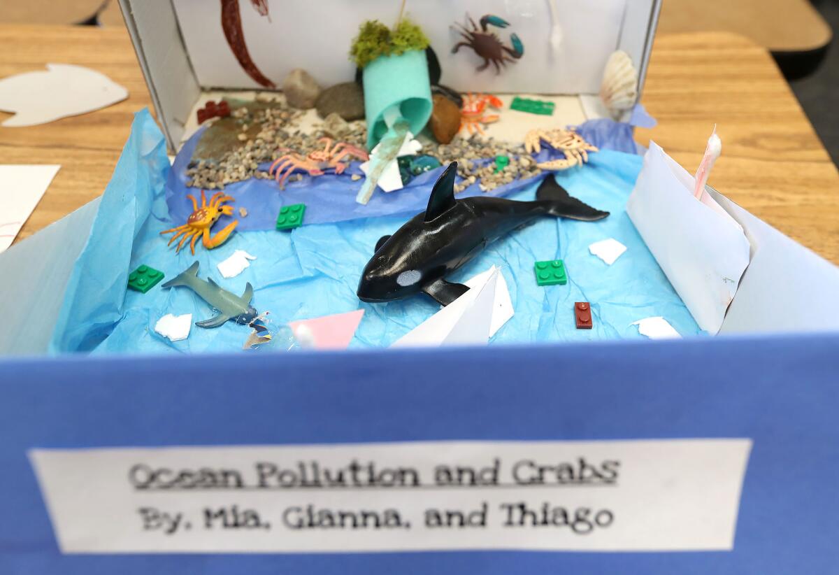 A student group's Ocean Pollution display is shown during the Environmental Science Civic Engagement Showcase.
