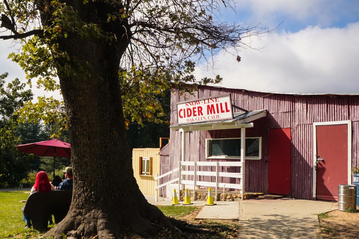 A red barn-like building with a sign that says "cider mill" sits behind a tree. 
