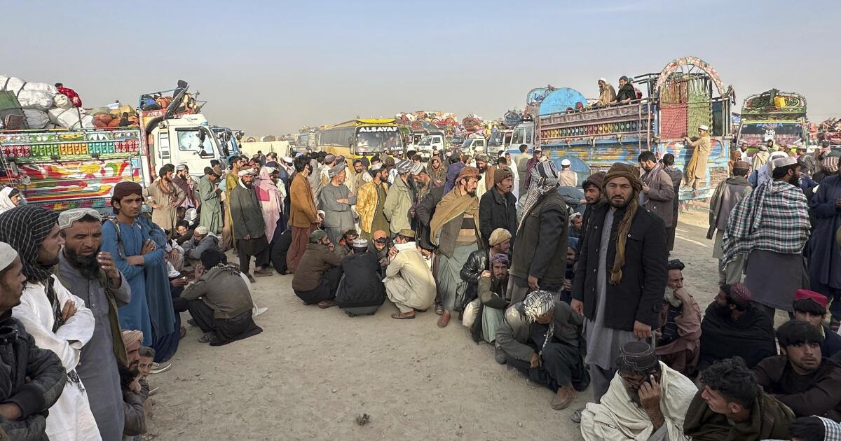 Des dizaines d’Afghans détenus et expulsés illégalement au Pakistan