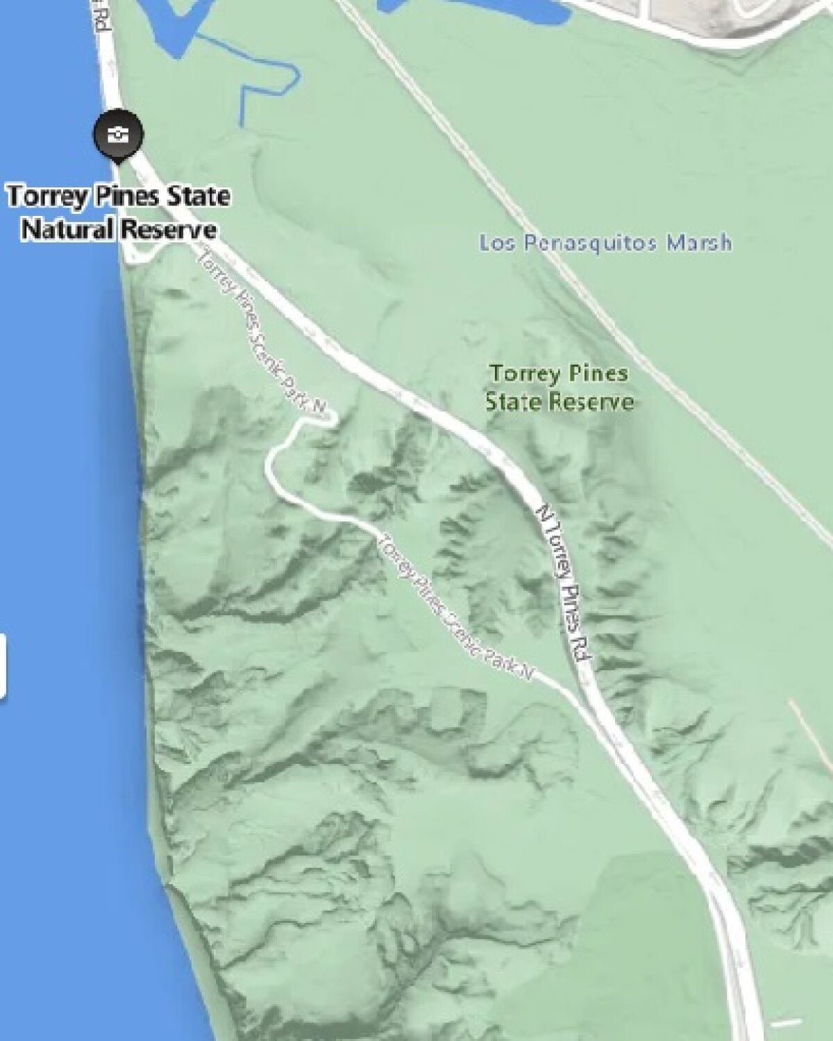The Torrey Pines State Natural Reserve is one of only two places where the Torrey pine grows in its natural habitat.