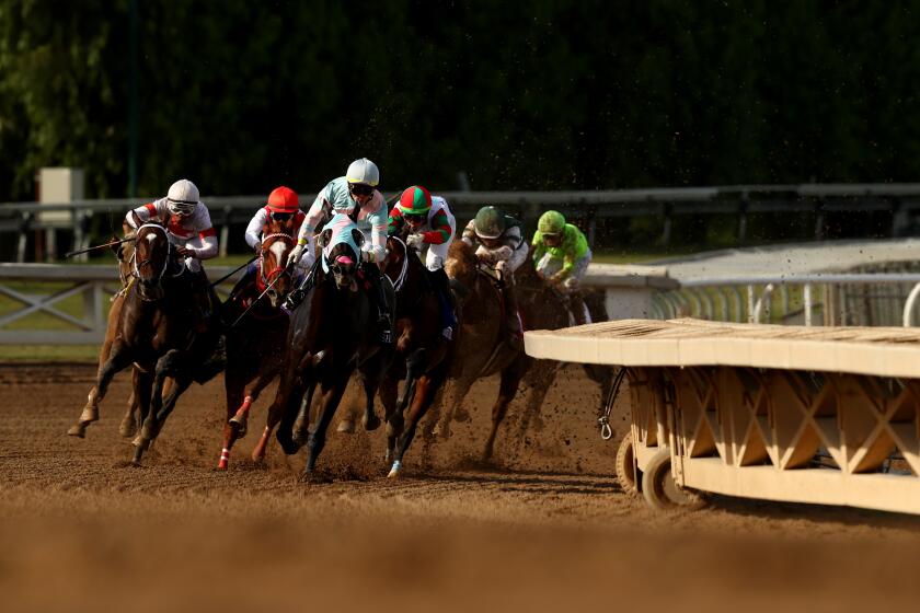 ARCADIA, CALIFORNIA - NOVEMBER 02: The field rounds the corner during the Sprint at Santa Anita Park on November 02, 2019 in Arcadia, California. (Photo by Joe Scarnici/Getty Images)