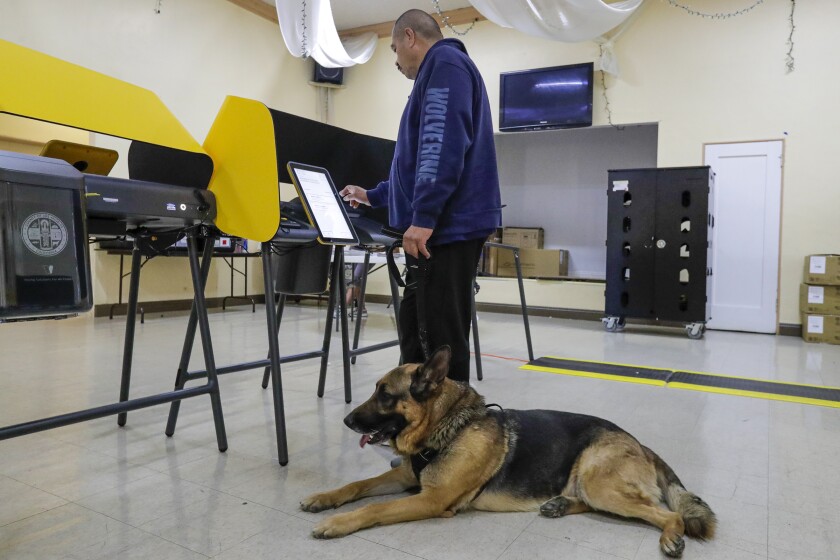 A German shepherd sits on the floor while a man uses an electronic voting machine