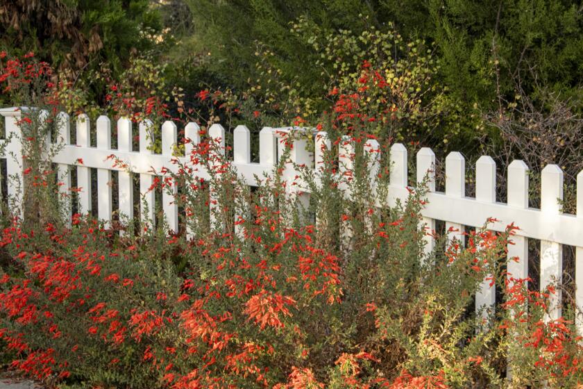 Landscape designs that include native plants will be highlighted during the Native Garden Tour.