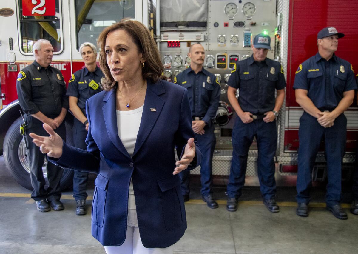 Vice President Kamala Harris speaks to the media about the morning's mass shooting in a Chicago.