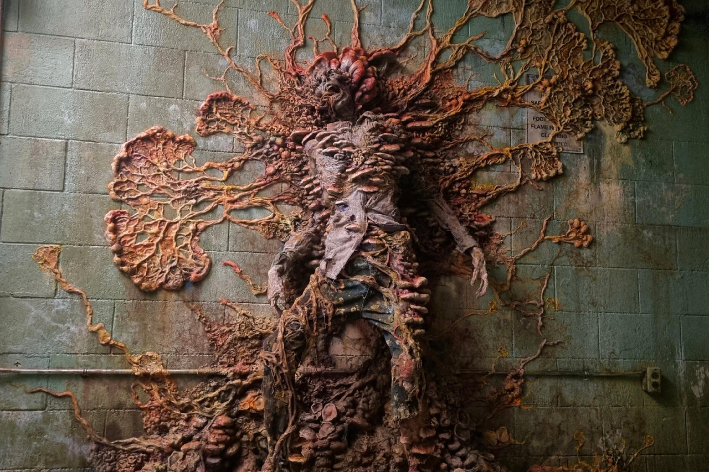 A fungal-infected human sprouts stalks that pin him to a wall in "The Last of Us."