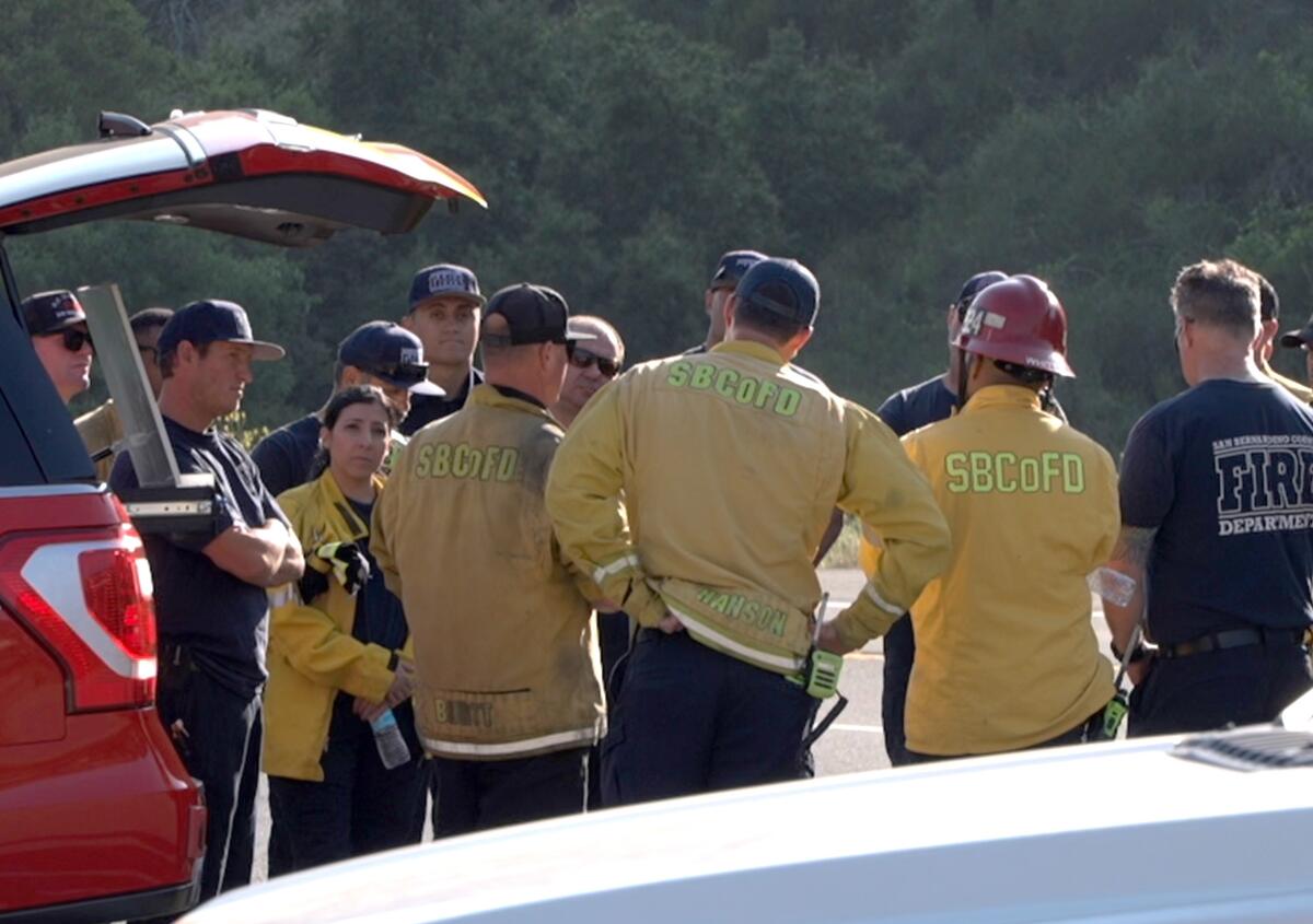 Rescuers stand, with a mountain in the background 