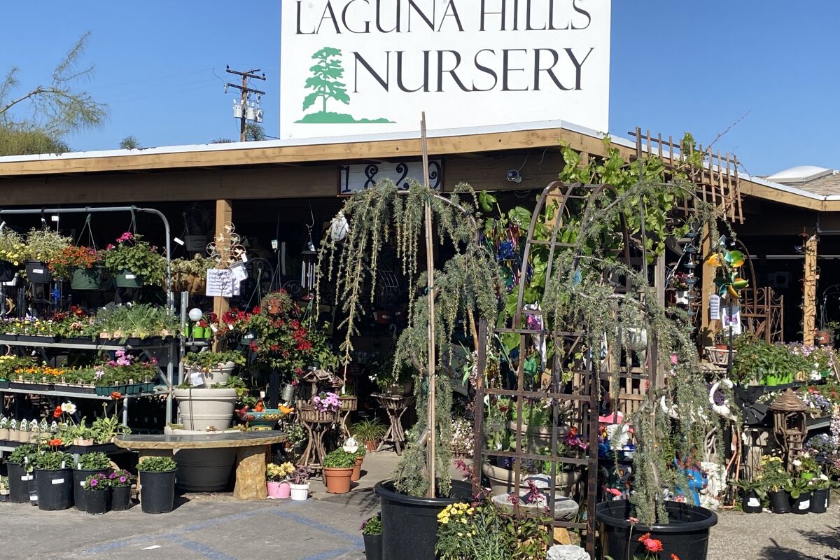 Laguna Hills Nursery in Santa Ana