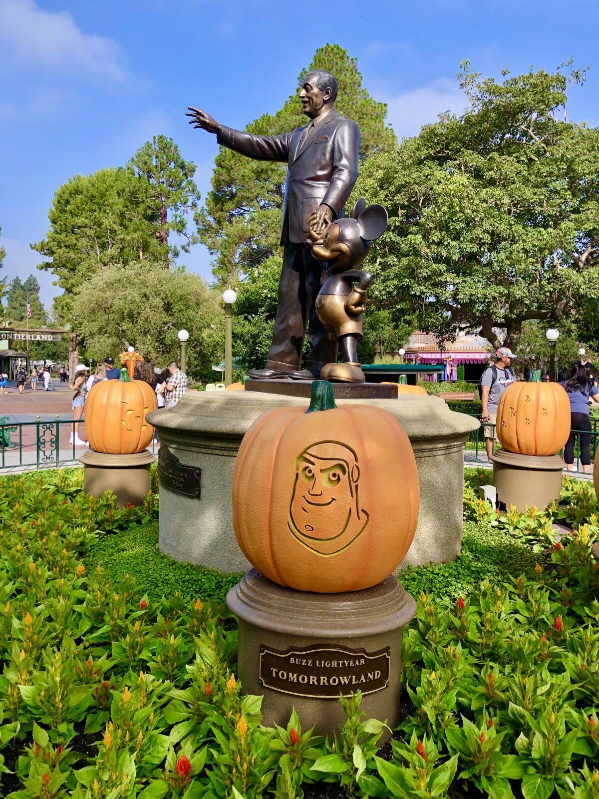 Calabazas talladas con personajes de Disney cerca de la escultura de Walt Disney y Mickey Mouse en Disneyland.