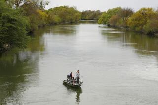 People fish in the Sacramento-San Joaquin River Delta's Elk Slough near Courtland, Calif.