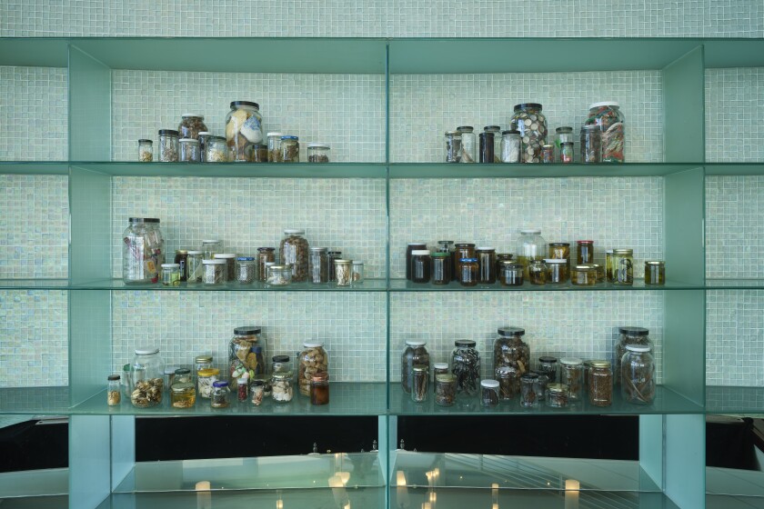 Different sizes of jars with mixed contents on glass shelves.