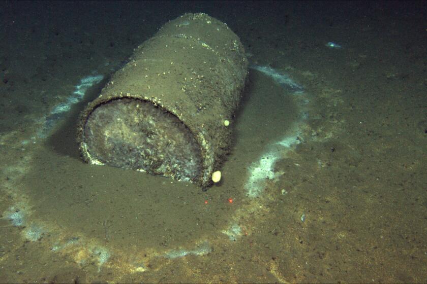 Image of a discarded, leaking barrel sitting 3,000 feet deep on the ocean floor near Santa Catalina Island.