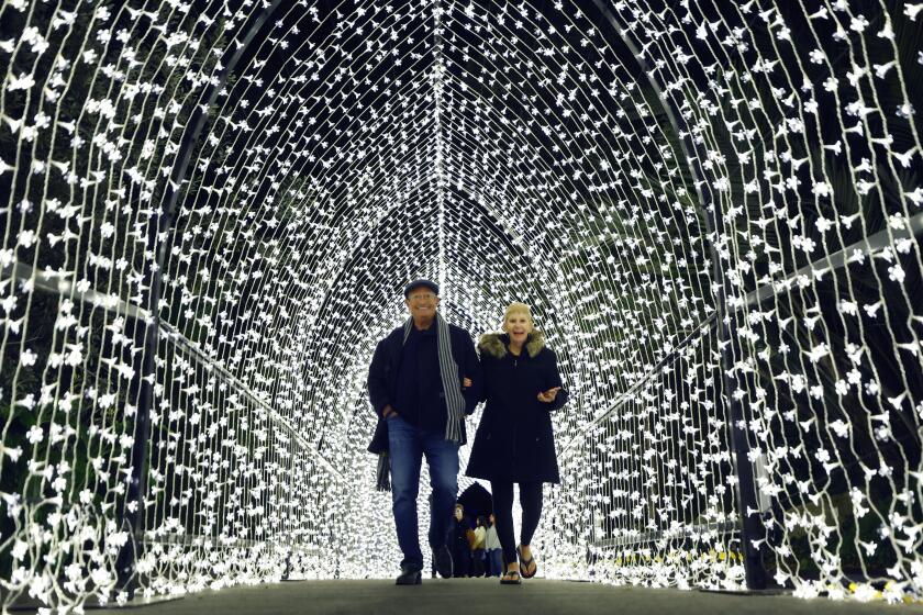 Guests Jack and Marcia Jacobs walk through the Winter Cathedral at Lightscape.