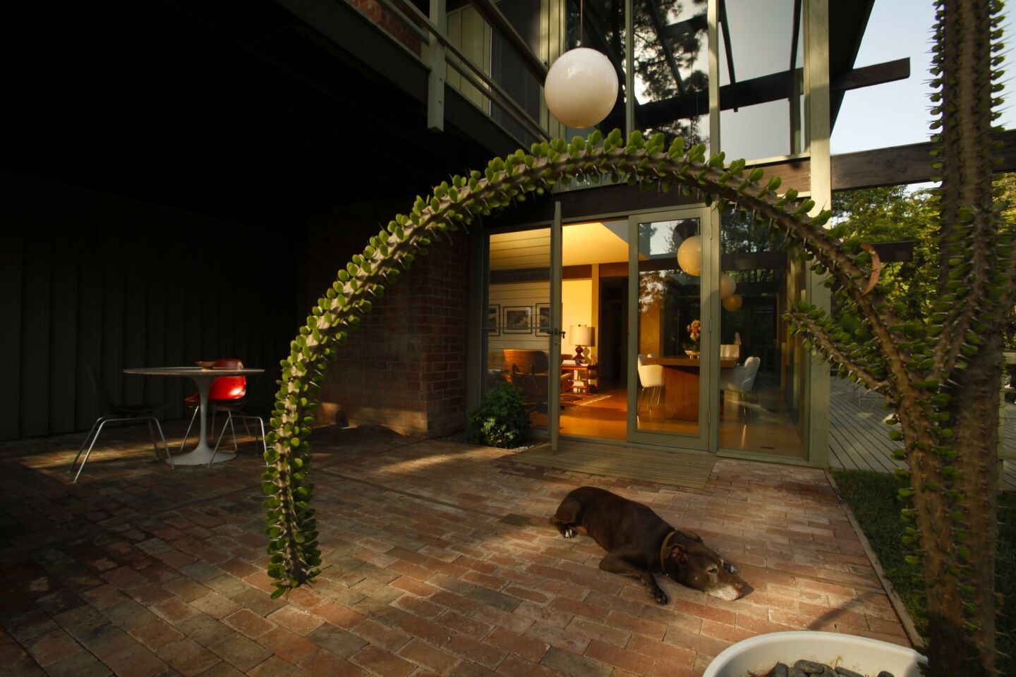 Homeowner Christophe Burusco's dog, Bruno, finds a cool spot on the back patio. "Fortunately, the right person who cared about this house got it," said Dennis Smith, president of Buff, Smith & Hensman Architects. "He did all the right things." More design profiles: California homes and gardens