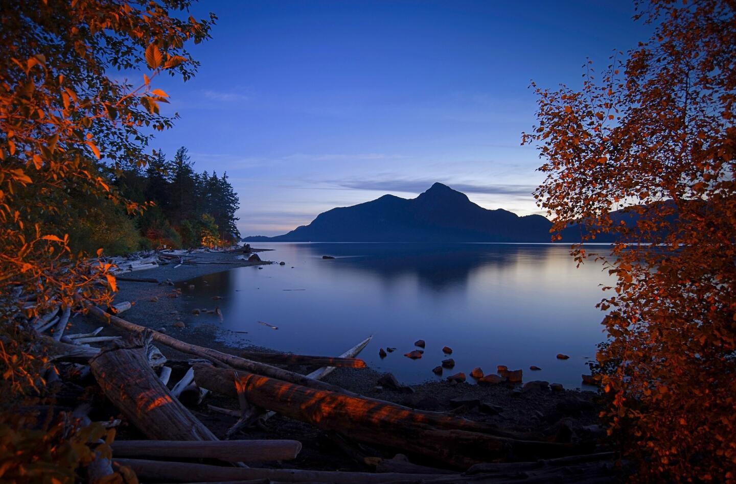 Porteau Cove Provincial Park, about 27 miles north of Vancouver, is a popular destination for scuba divers, who can explore a shipwreck and artificial reefs hidden within Howe Sound.