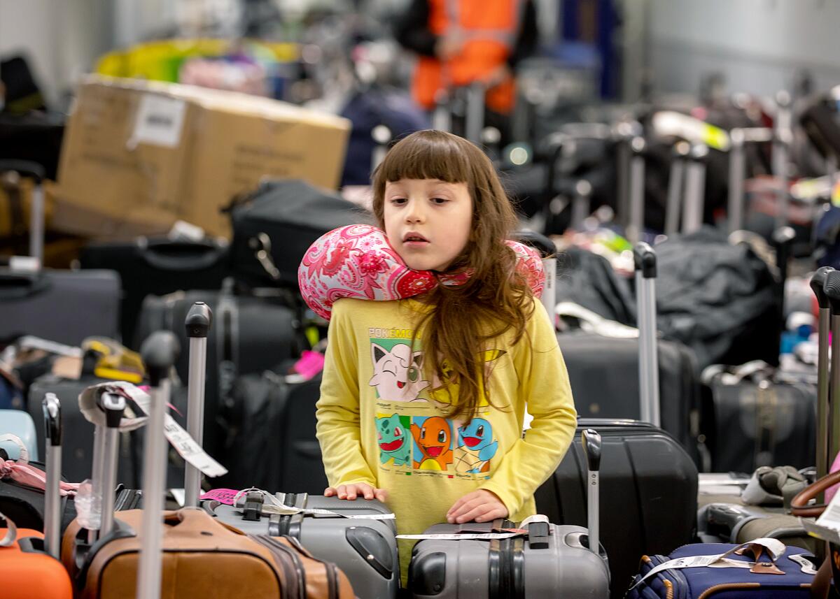 A young child in yellow shirt with cartoon characters stands in large gathering of suitcases.