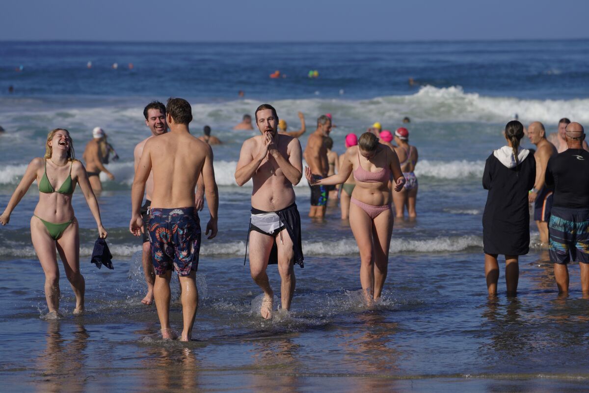 Swimmers cope with the cold water during the annual Polar Bear Plunge at La Jolla Shores on New Year's Day.