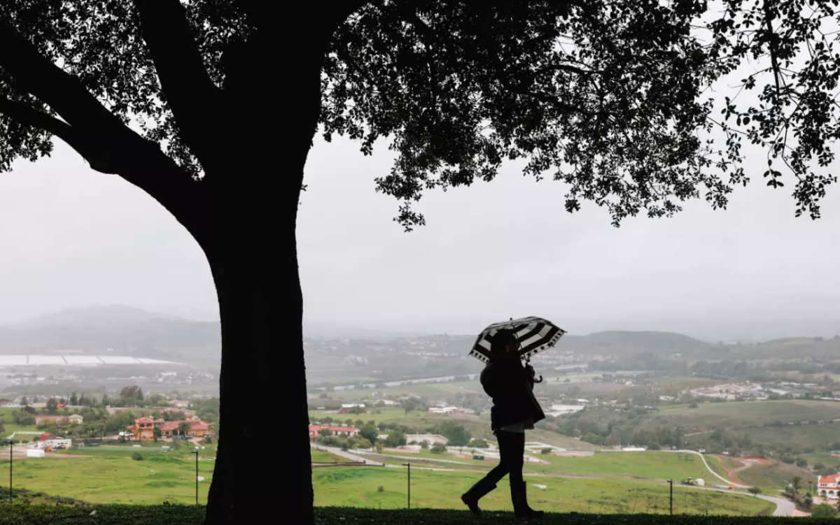 La lluvia cae durante la conmemoración del Día de los Presidentes