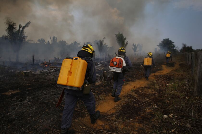 FILE - Fire brigade members walk in to a burnt area in Apui, Amazonas state, Brazil, Sept. 21, 2022. Despite the smoke clogging the air of entire Amazon cities, state elections have largely ignored environmental issues. Far-right President Jair Bolsonaro is seeking a second four-year term against leftist Luiz Inácio Lula da Silva, who ruled Brazil between 2003 and 2010. (AP Photo/Edmar Barros, File)