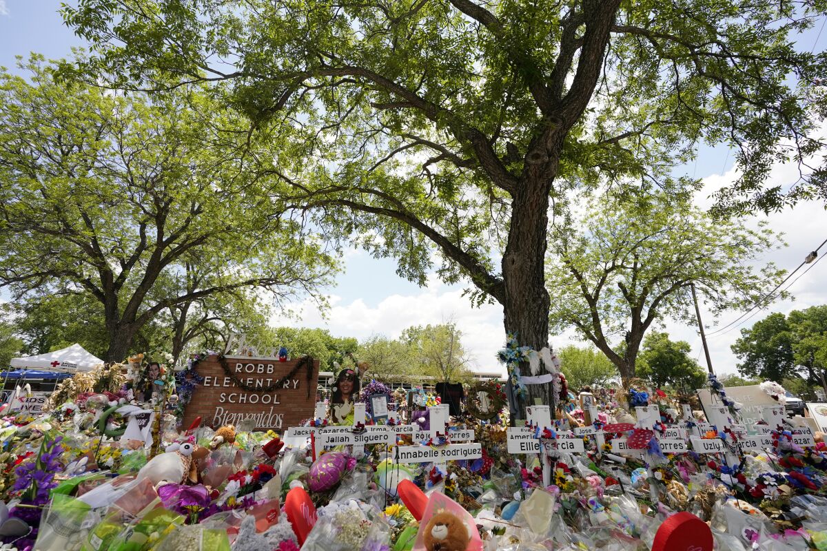Pecan trees, planted in the 1960's, shade a memorial created to honor the victims killed in the recent school shooting at Robb Elementary, Thursday, June 9, 2022, in Uvalde, Texas. The Texas elementary school where a gunman killed 19 children and two teachers has long been a part of the fabric of the small city of Uvalde, a school attended by generations of families, and where the spark came that led to Hispanic parents and students to band together to fight discrimination over a half-century ago. (AP Photo/Eric Gay)
