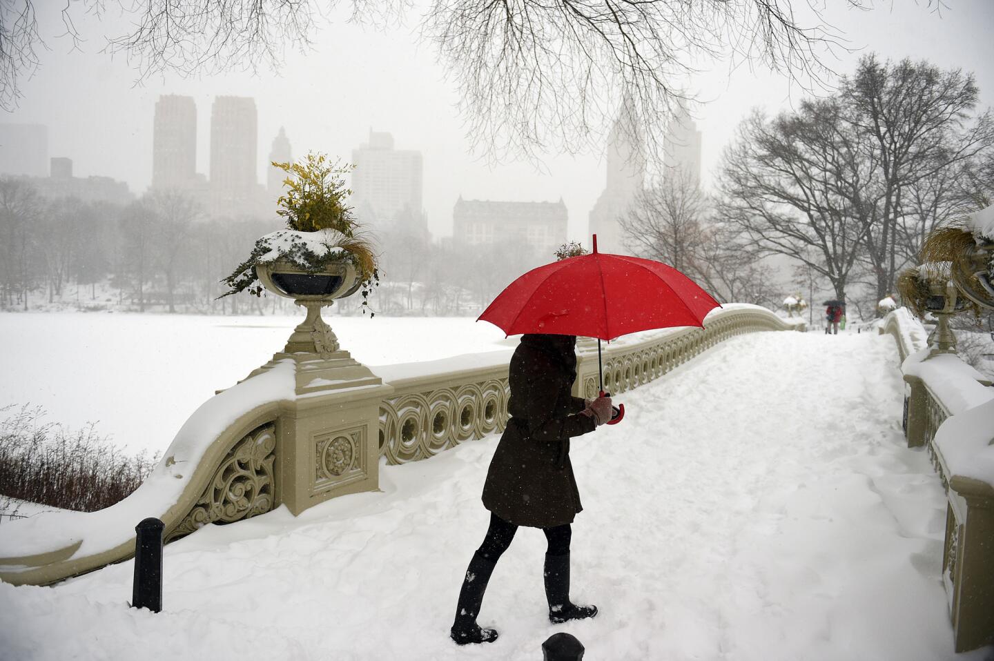 Snowy Central Park
