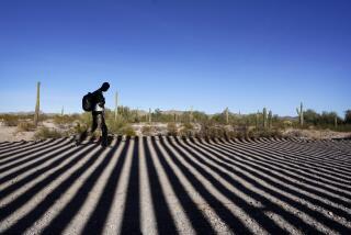 FILE - A migrant walks along a road shadowed by the steel columns of the border wall separating Arizona and Mexico after crossing into the United States, Friday, Dec. 15, 2023, near Lukeville, Ariz. (AP Photo/Gregory Bull, File)
