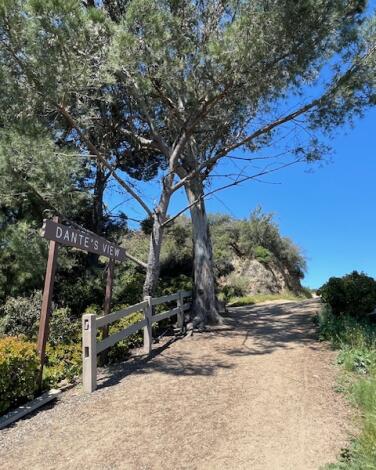 A steep dirt trail, with trees and a Dante's View sign at left.