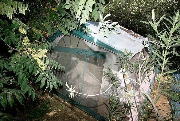 Backyard tent