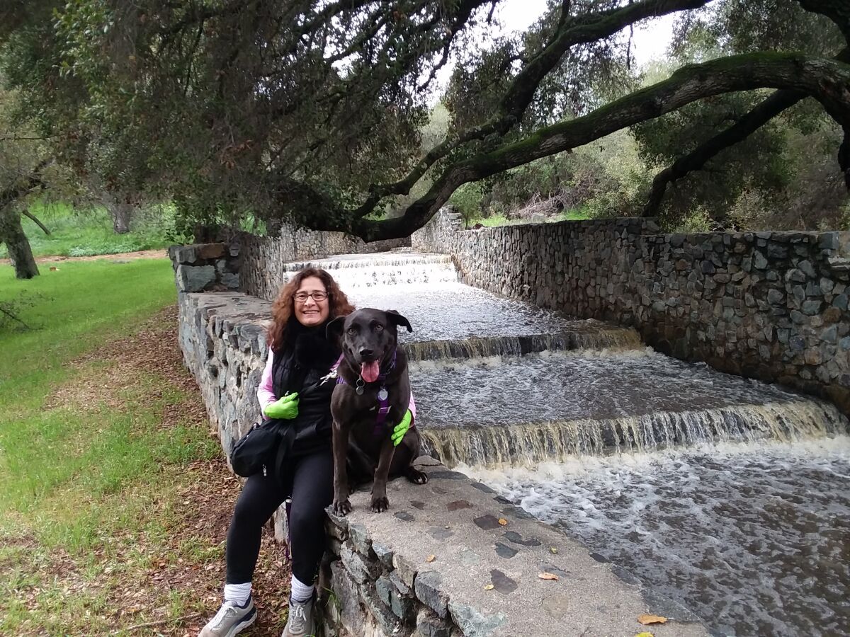 Shelly Ivicevic and Elvis, her 6-year-old Labrador retriever, stop to watch the runoff from pond at Dos Picos County Park. 