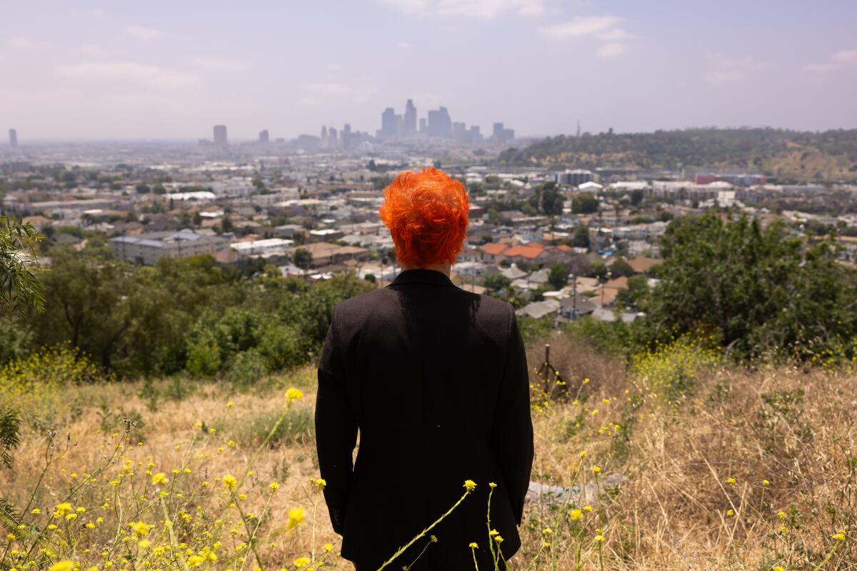 Man with orange hair overlooking LA