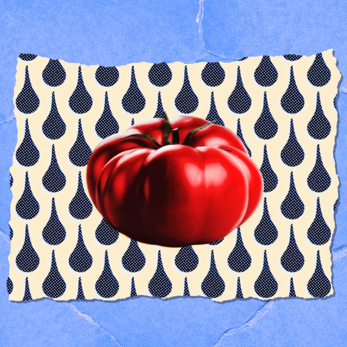 A red tomato