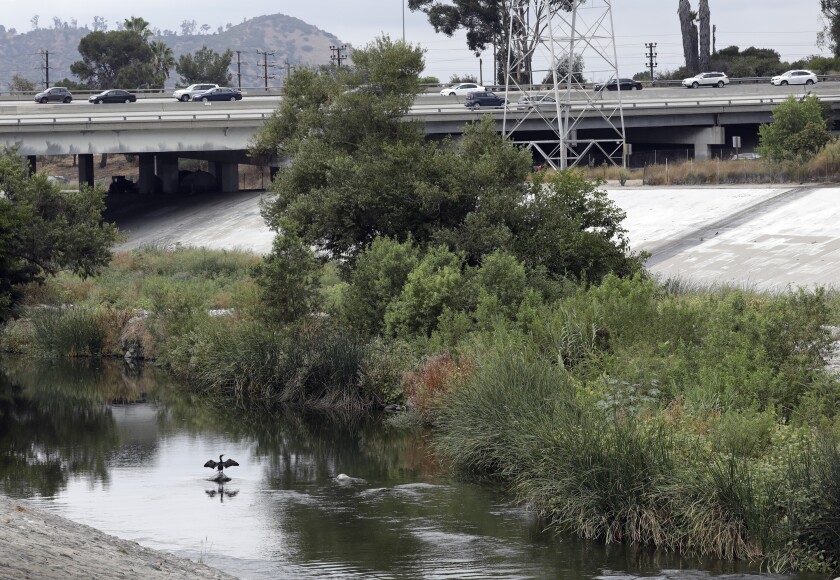 Image of Los Angeles River flowing beneath an overpass.