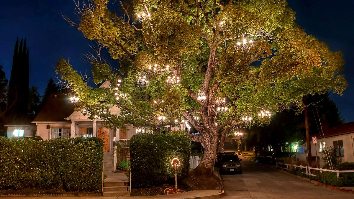 Fans of Silver Lake's landmark Chandelier Tree can rent a studio that is illuminated, of course, by chandeliers. (Adam Tenenbaum)