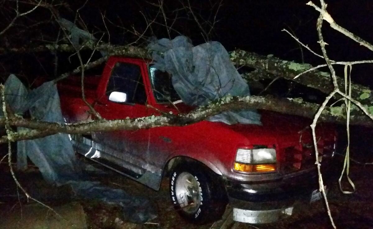 A fallen tree rests atop a pickup in Holly Springs, Miss., after a storm struck the town Wednesday.