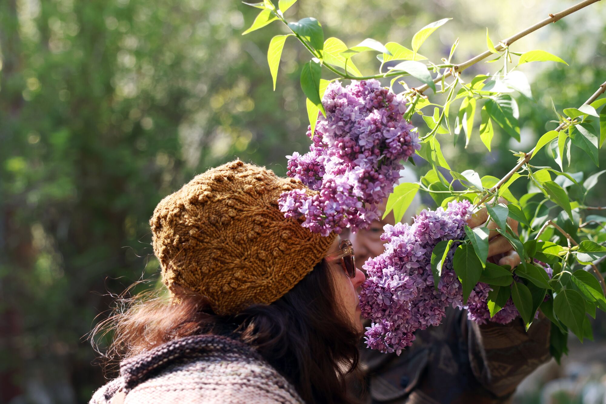 A woman in a knit hat smells fresh lilacs