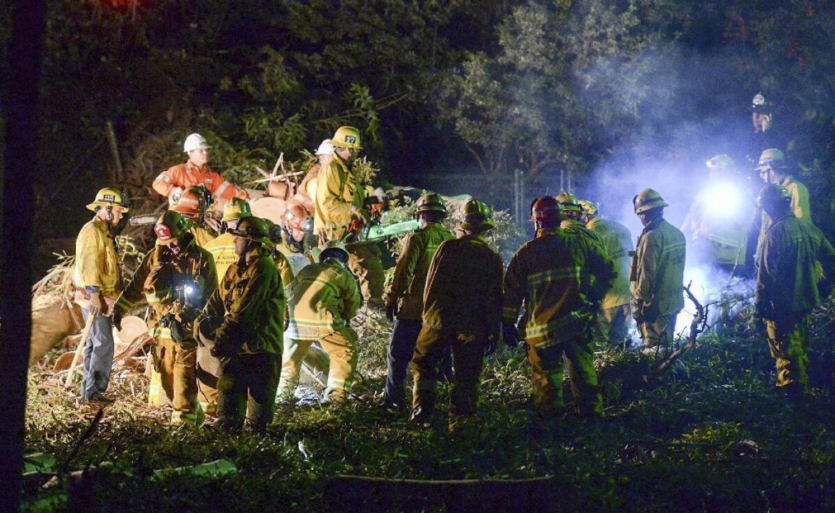 Los Angeles County firefighters work at the scene where a large tree fell on a wedding party in Whittier on Saturday afternoon, killing one person and injuring seven.