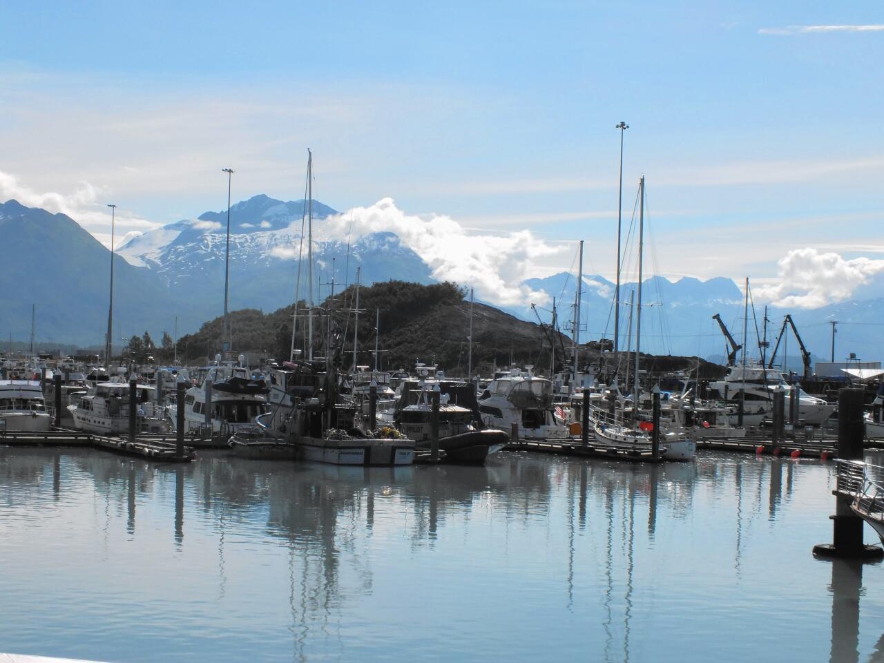 Dozens of fishing boats moored in the harbor at Valdez attest to the importance of commercial fishing. Salmon is the summer catch, while crews fish for halibut and shrimp during the winter months.