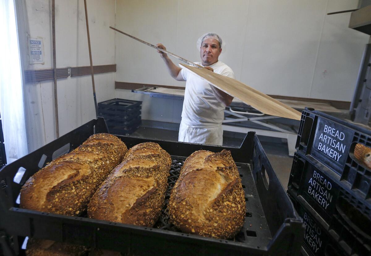 Baker Roberto Hernandez drops fresh bread from the oven at Bread Artisan Bakery in Santa Ana.