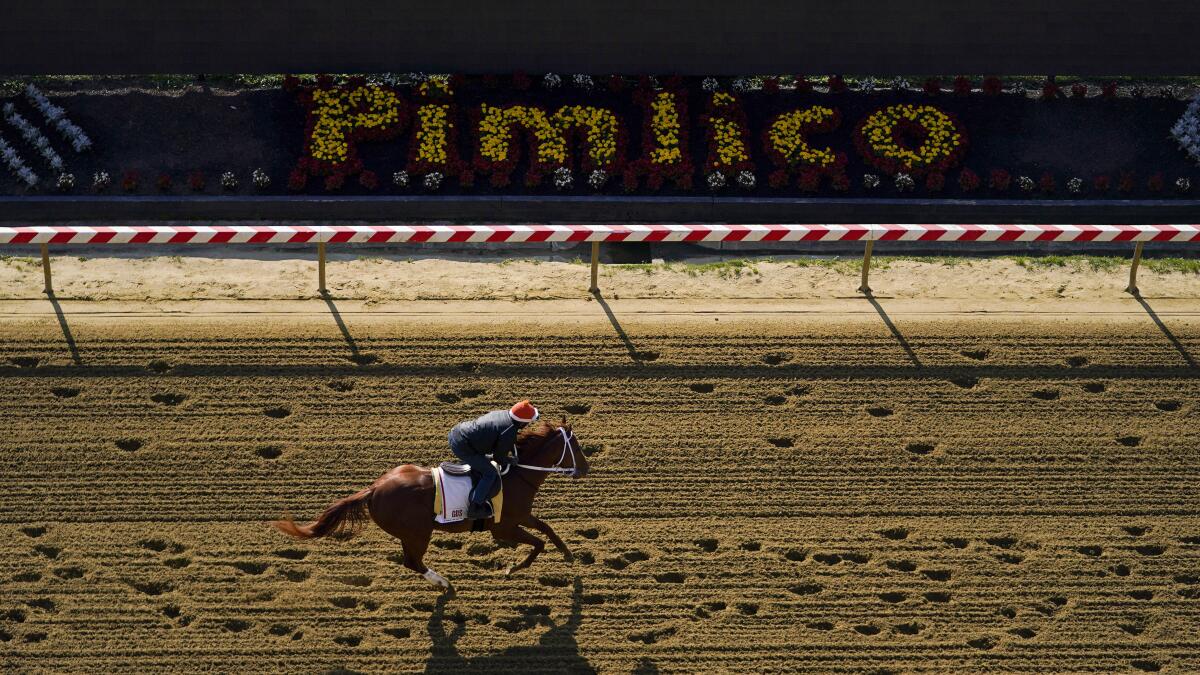 National Treasure wins Preakness Stakes, denying Mage Triple Crown bid with Belmont  Stakes looming