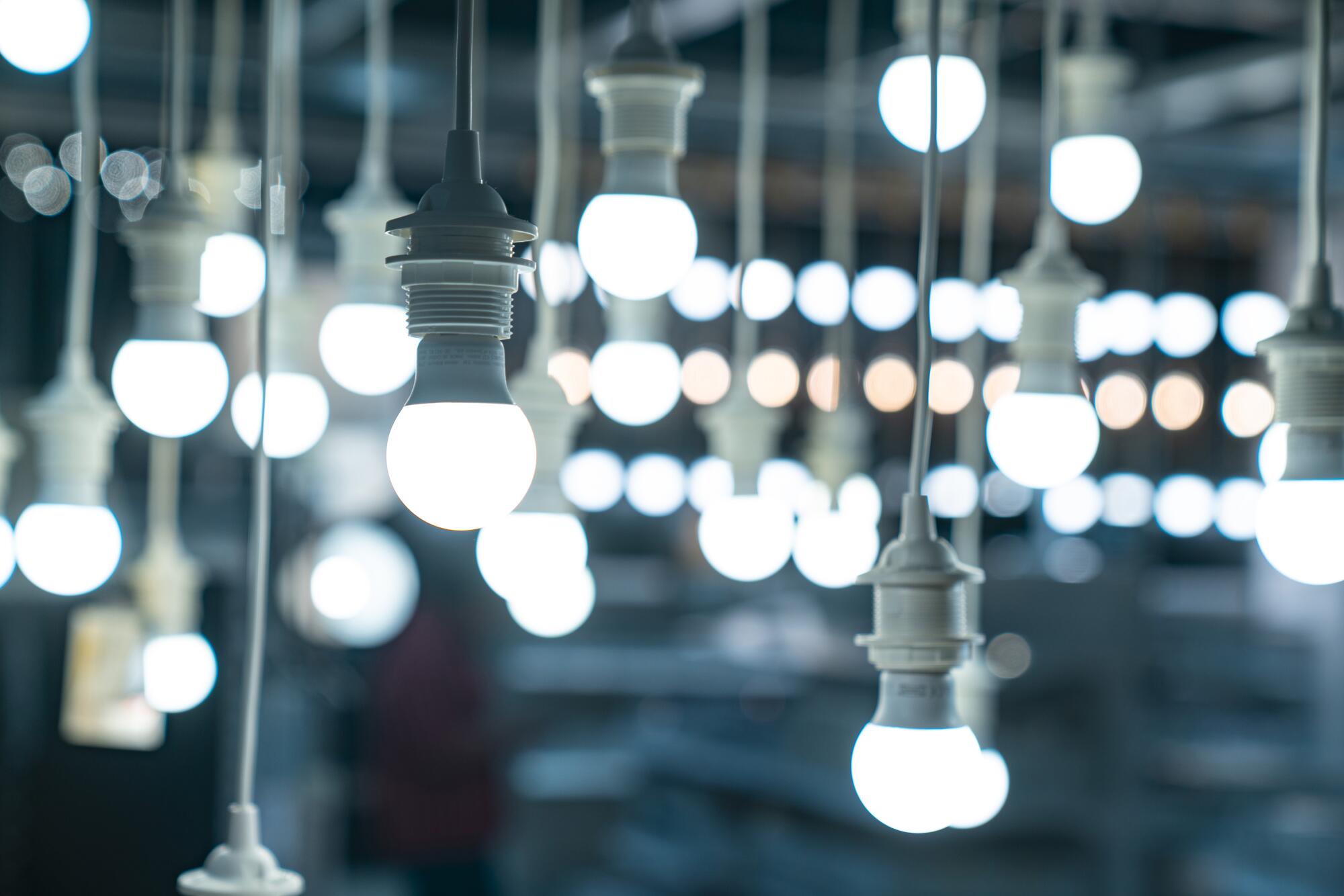 Compared to incandescent bulbs, LEDs produce light that is more bluish-white.