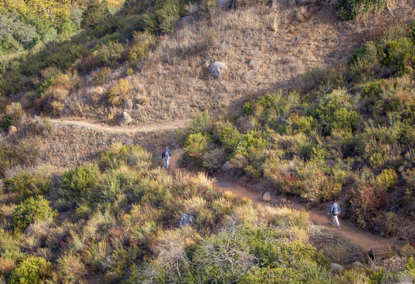 Two hikers walk along a trail