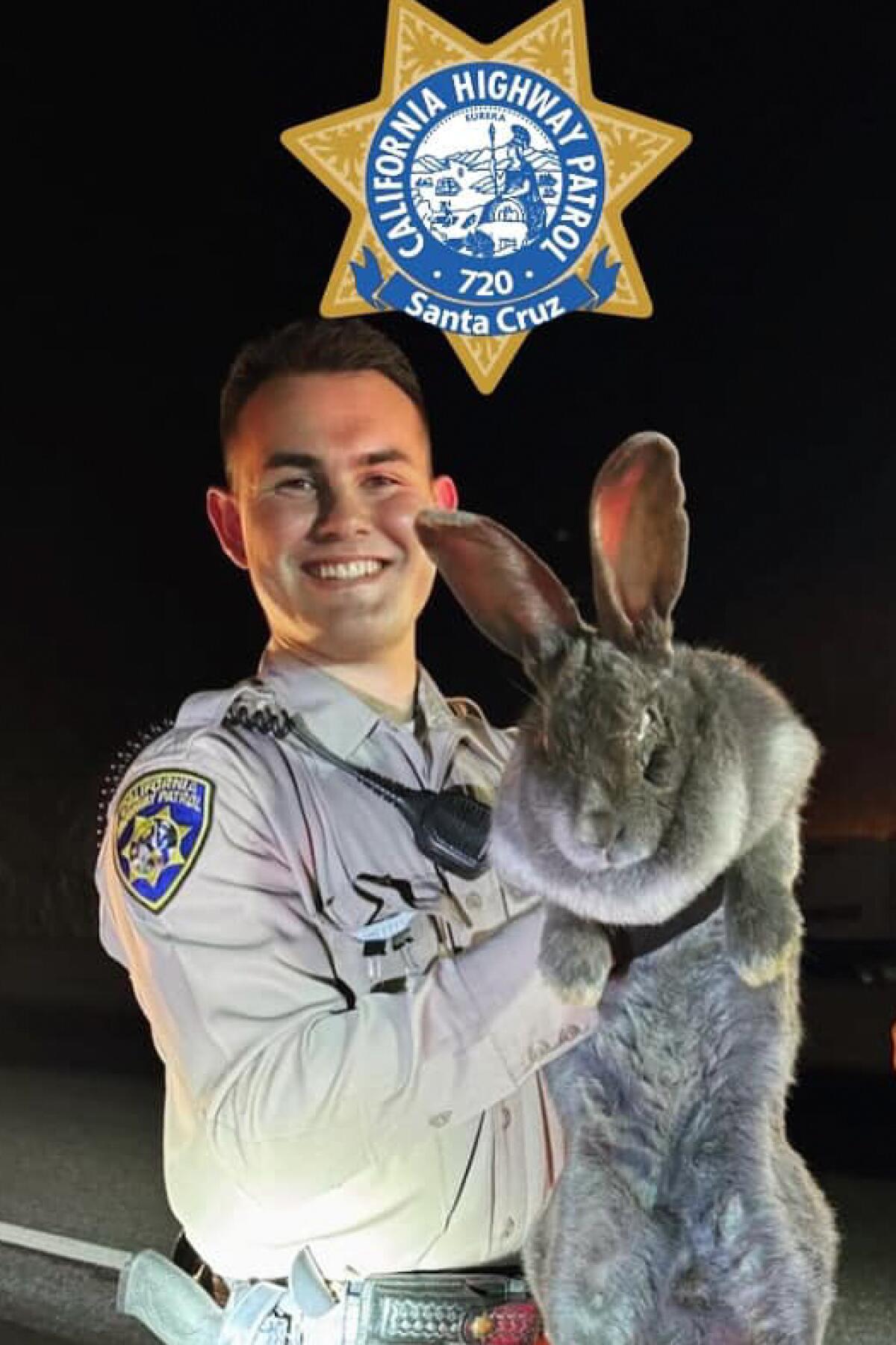 An officer holding a large rabbit